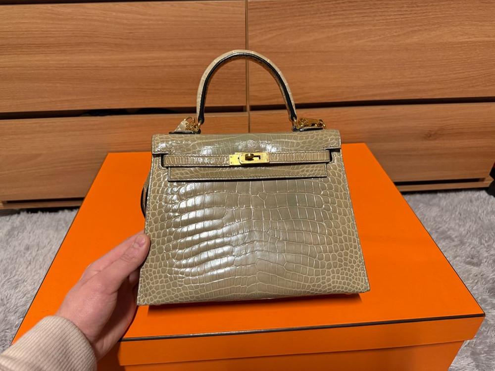 켈리25 올수공 엘리게이터 이미지