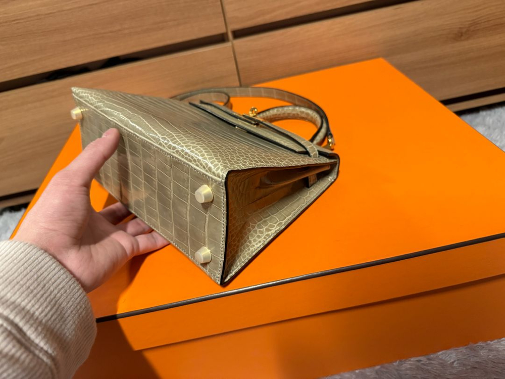 켈리25 올수공 엘리게이터 이미지