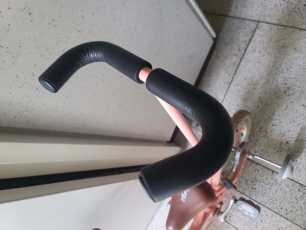 삼천리 딩고 유아 14인치 보조바퀴 부모 핸들 구성 자전거 이미지