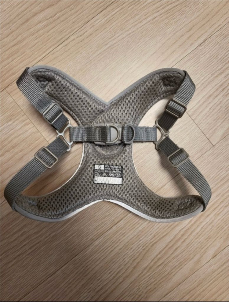 강아지 하네스 이미지