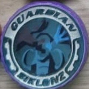 바이클론즈 썬더가디언 디스크칩 구해요 이미지