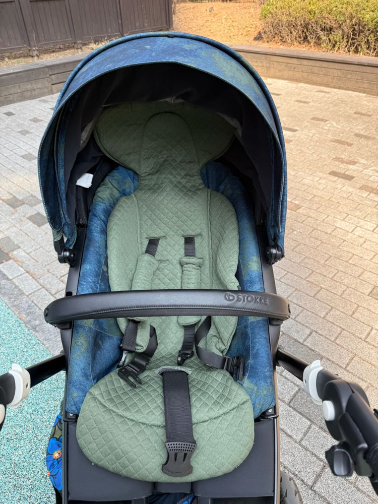 스토케 익스플로리 트레일즈 리미티드 유모차(방풍커버, 이너시트, 풋머프, 오프로드휠) 이미지