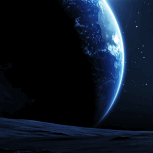 havoc se판매 이미지