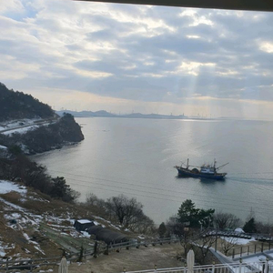 한우정액 1614.1766.1734판매 합니다 이미지