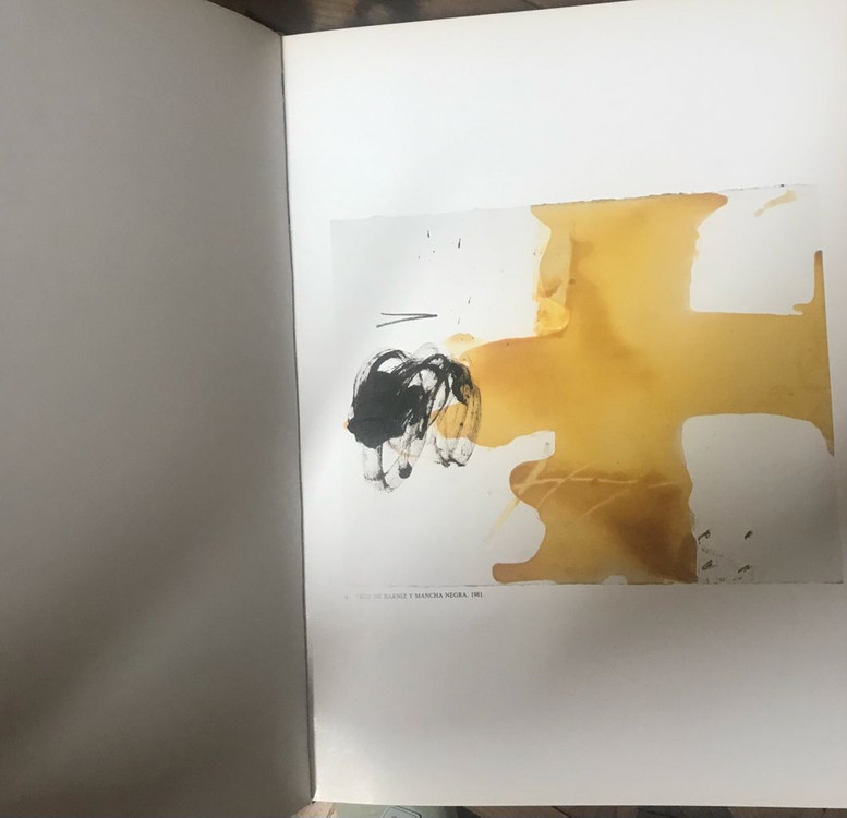 안토니 타피에스 작품도록-TAPIES AND THE NEW CULTURE 이미지