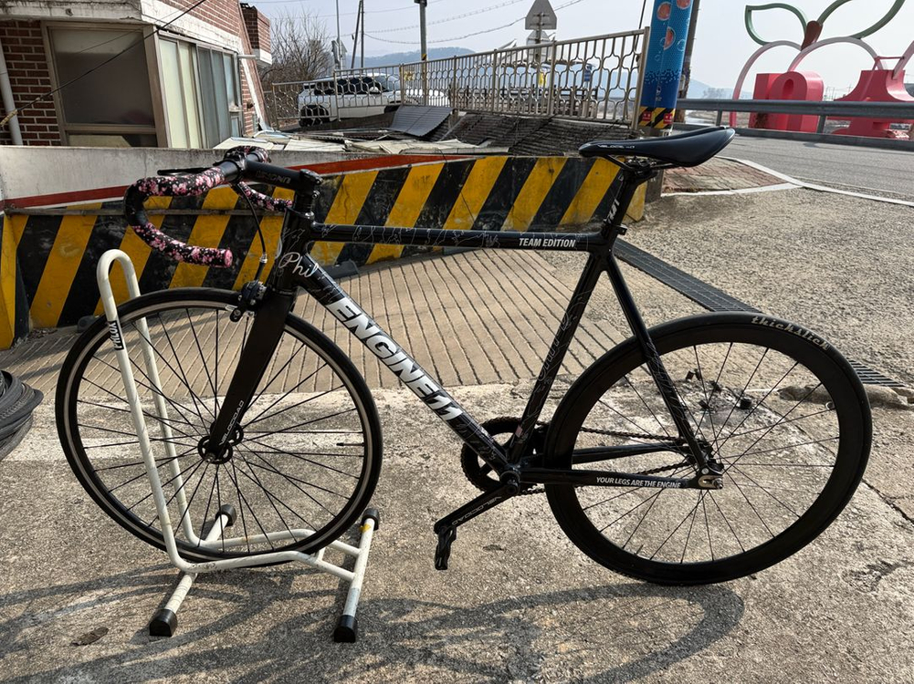 엔진11 팀에디션 L 픽시 판매합니다 이미지