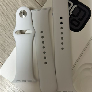 애플워치 10 제트블랙 42mm 셀룰러모델 이미지