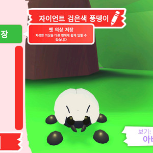 입양하세요 펫 메가네온 자이언트 검은색 풍뎅이 판매합니다 이미지