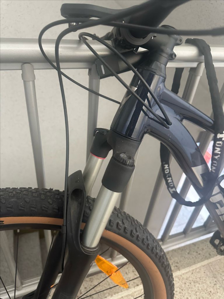 자이언트 타론0 2025 L 판매합니다! 이미지