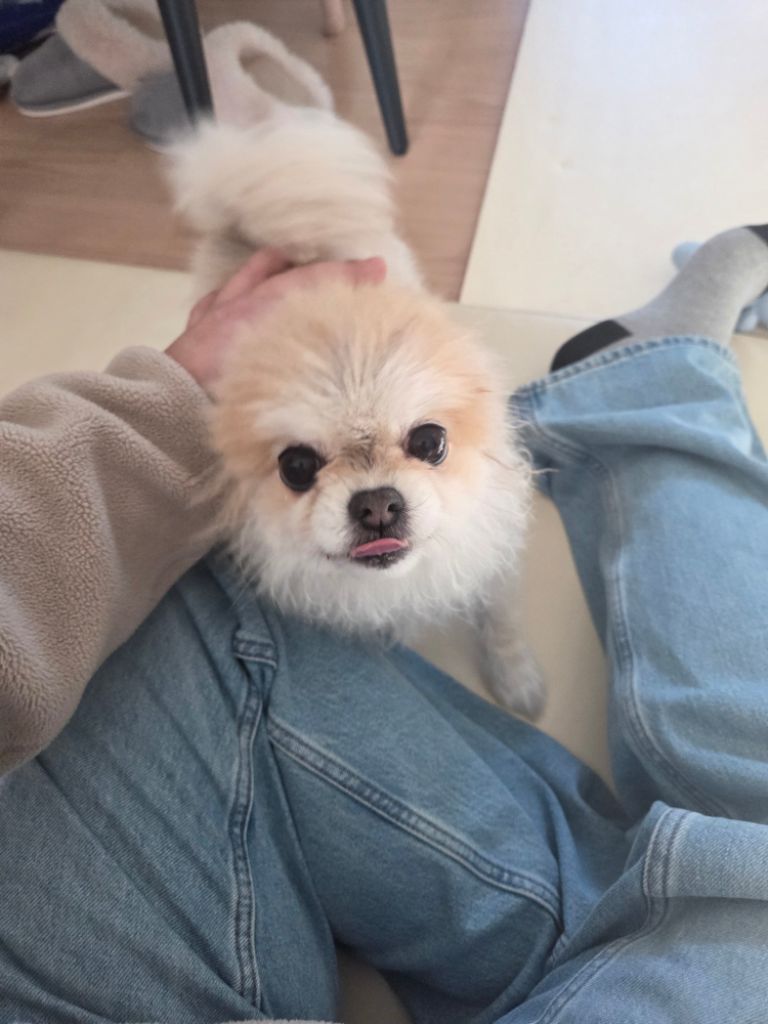 프로필 이미지
