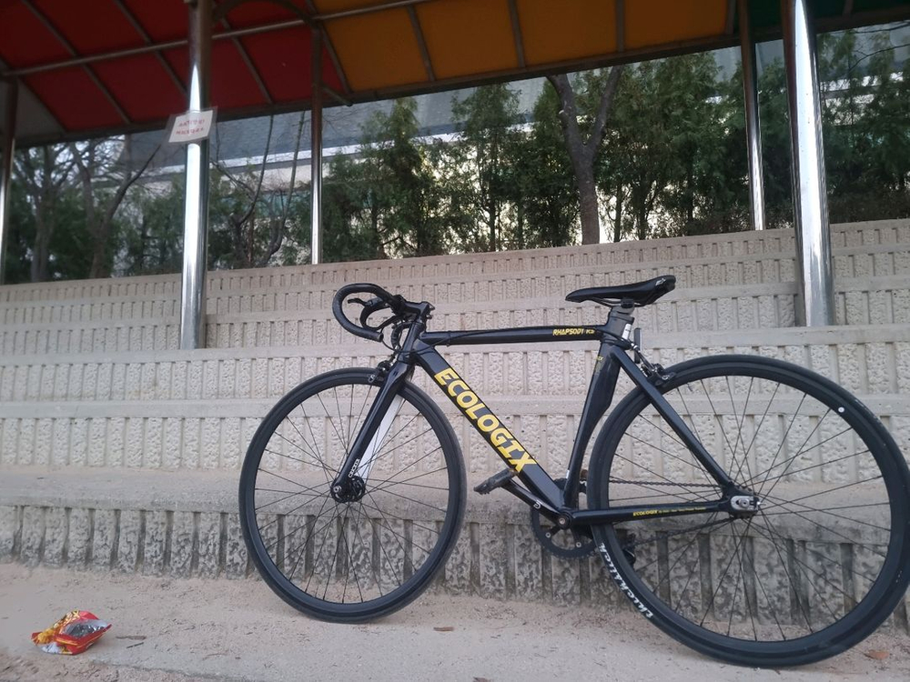 에콜로직스R5 개개개급처 이미지