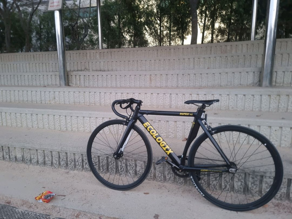 에콜로직스R5 개개개급처 이미지