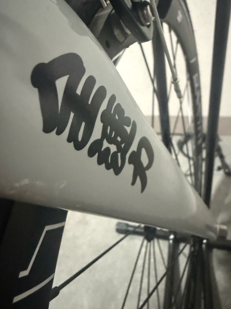 엔진11 2025 에그플랜트 그레이 이미지