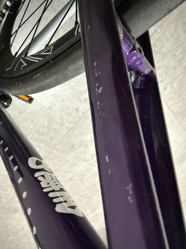 엔진11 2025 에그플랜트 그레이 이미지