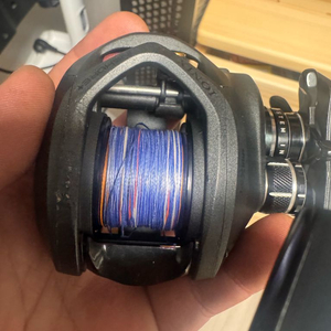 아이오닉스 인쇼어 릴 팝니다 이미지