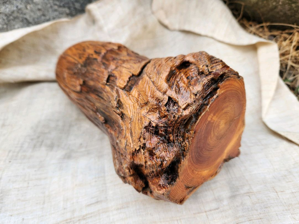 소나무 뿌리로 만든 관솔병 이미지