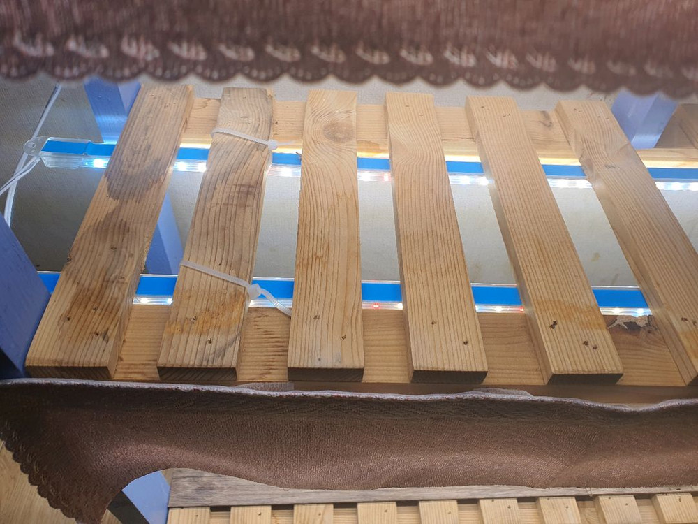 대전직거래/식물 조명등 설치된 원목 소재 2단 화분 선반 55*52*20 이미지