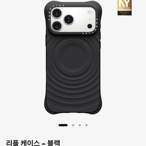아이폰 17 프로맥스 케이스티파이 리플케이스 블랙 이미지