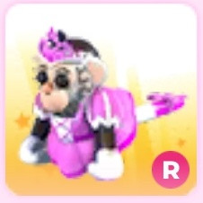 [입양하세요] R 카푸친 공주 원숭이 이미지