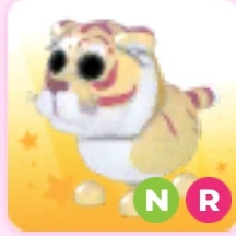 [입양하세요] NR 루나호랑이 이미지