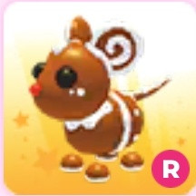 [입양하세요] R쿠키 쥐 이미지