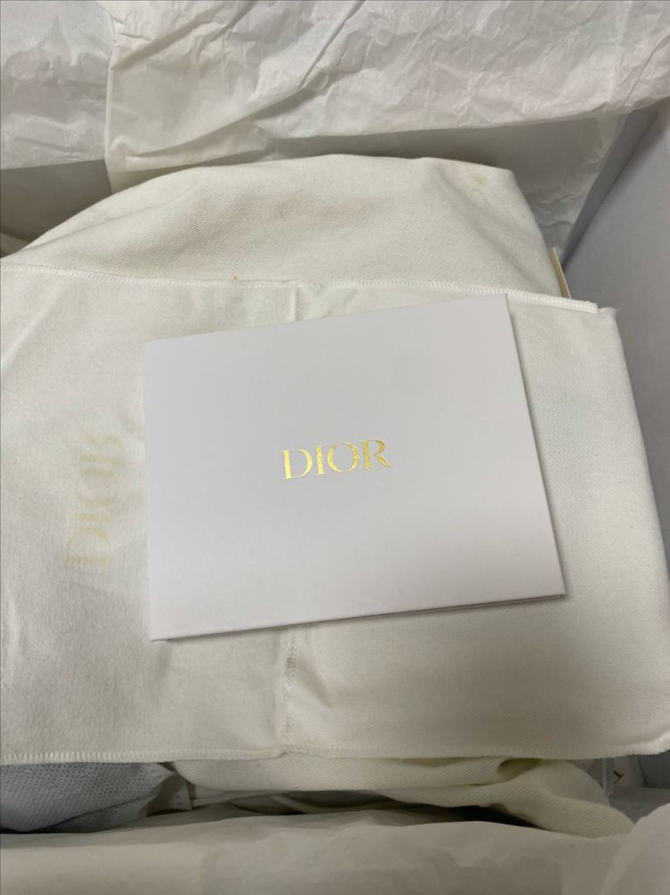 디올레이디백 스몰 블랙 흑장 이미지