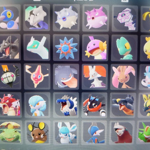 포켓몬스터 레전드 za 우두로치 우두머리 이로치 닌텐도 스위치2 포코피아 포챔스 브다샤펄 스칼렛 바이올렛 판매 분양 이미지