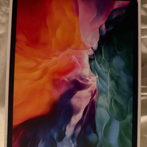 아이패드 프로 4세대 12.9 256GB 셀룰러 이미지