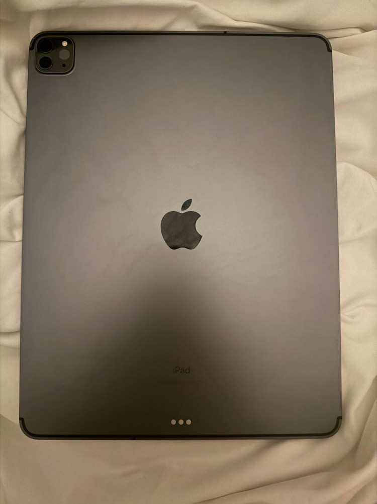 아이패드 프로 4세대 12.9 256GB 셀룰러 이미지