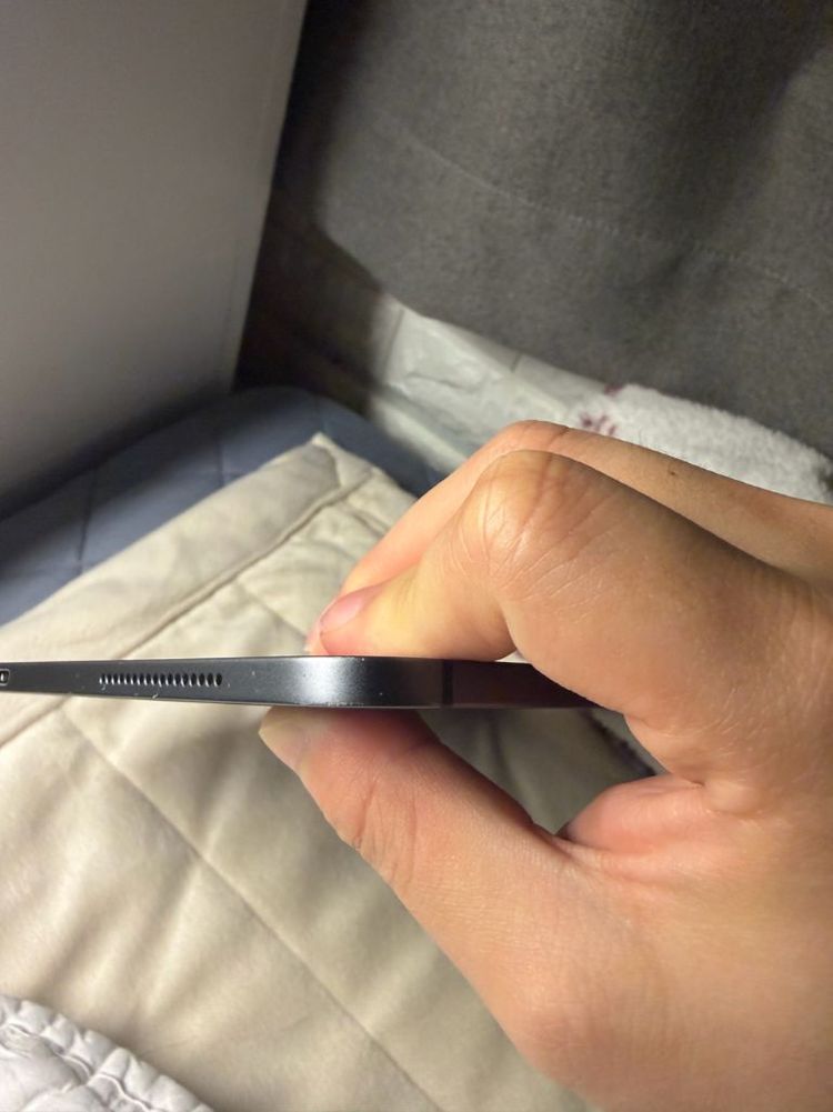 아이패드 프로 4세대 12.9 256GB 셀룰러 이미지