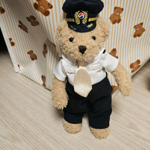 대한항공 곰인형 이미지