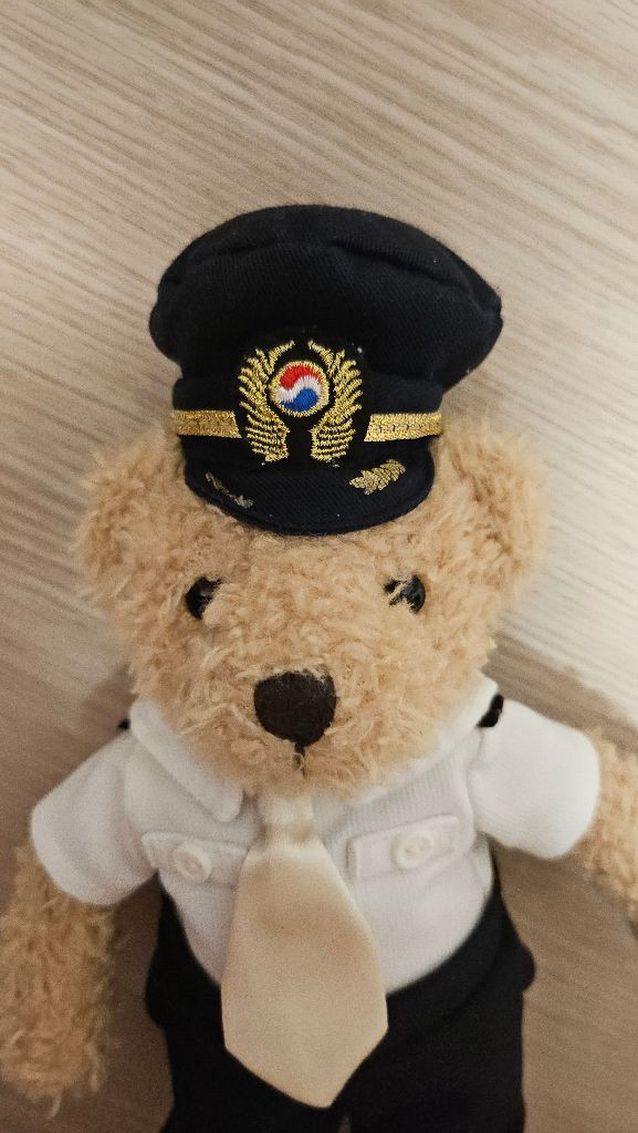 대한항공 곰인형 이미지