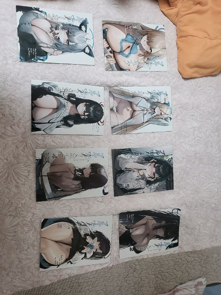 애니메이션 캐릭터 포토카드 세트(12월 서코 블루 아카이브 일러스트북 8권 한정) 이미지