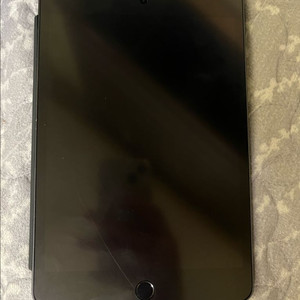 아이패드 미니5 64gb 이미지