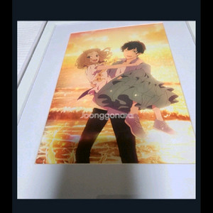 애니 조제, 호랑이 그리고 물고기들 파인 그래프 (일본 블루레이 특전) 이미지