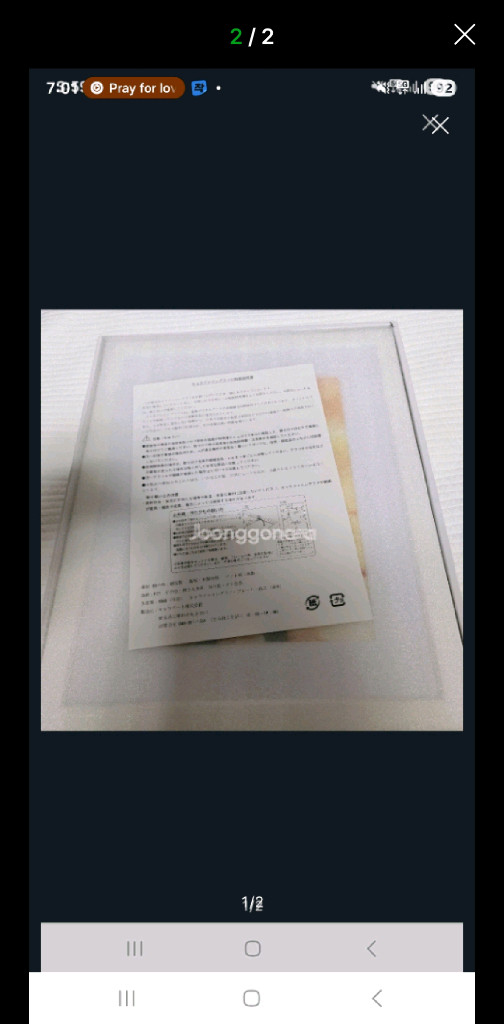 애니 조제, 호랑이 그리고 물고기들 파인 그래프 (일본 블루레이 특전) 이미지