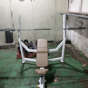 디랙스 올림픽인클라인벤치,해머평벤치,해머디클라인벤치,헤라자전거,거꾸리 이미지