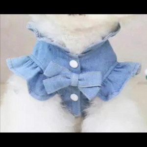 강아지 청카바 ㅋ 하네스 이미지