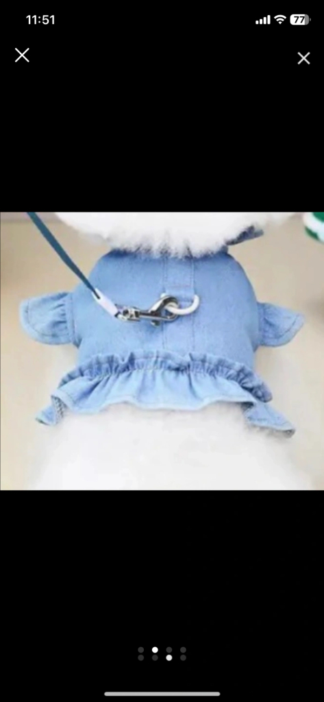 강아지 청카바 ㅋ 하네스 이미지