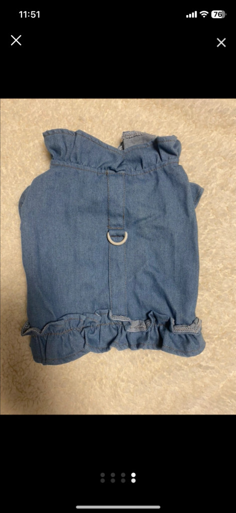 강아지 청카바 ㅋ 하네스 이미지