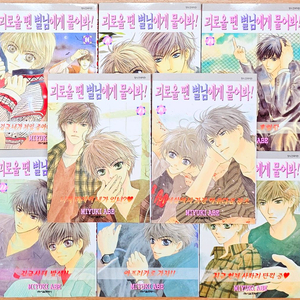 괴로울 땐 별님에게 물어봐! 아베 미유키 팔견전 고전 BL 비엘 슈퍼 러버즈 브로맨스 로스트 차일드 일본 이미지