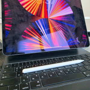 아이패드 프로 5세대 12.9 m1 128 wifi 스그 애플펜슬 매직키보드 이미지