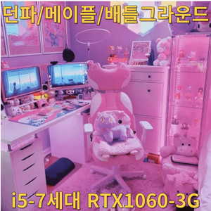 배그 중옵 로아 상옵 본체i5 7500/GTX1060 이미지