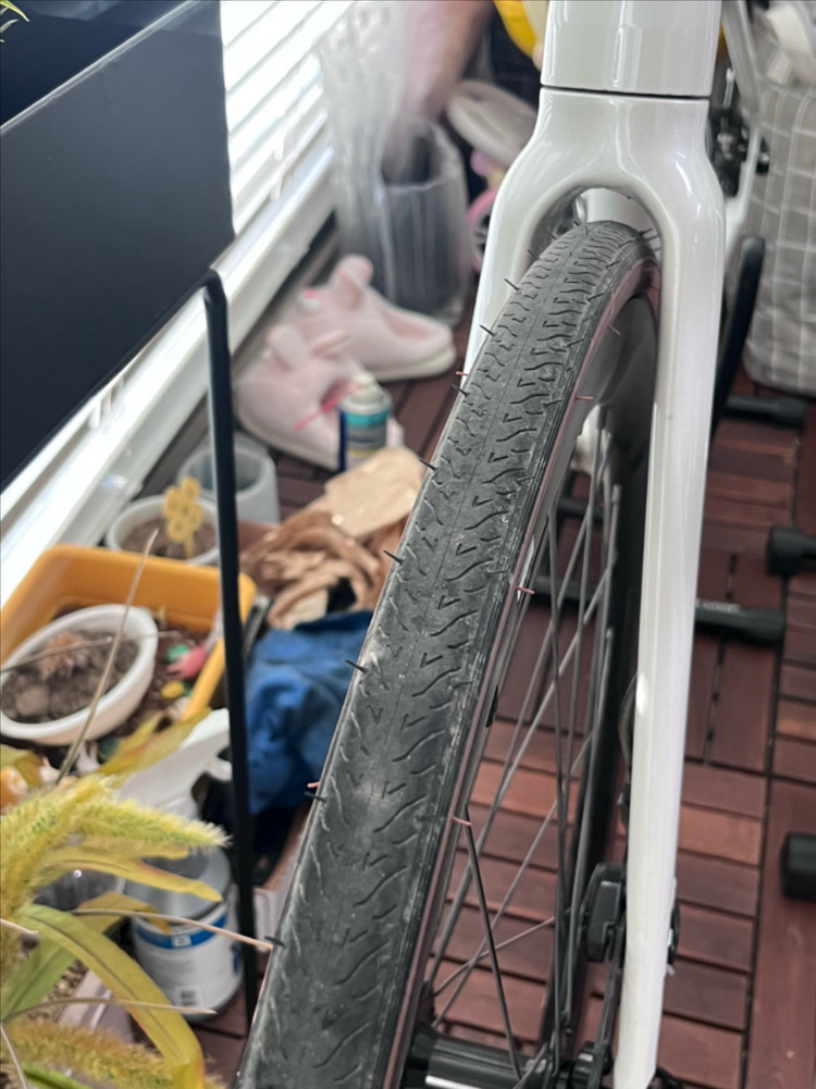 로드 엘파마 에포카1 gen2 이미지