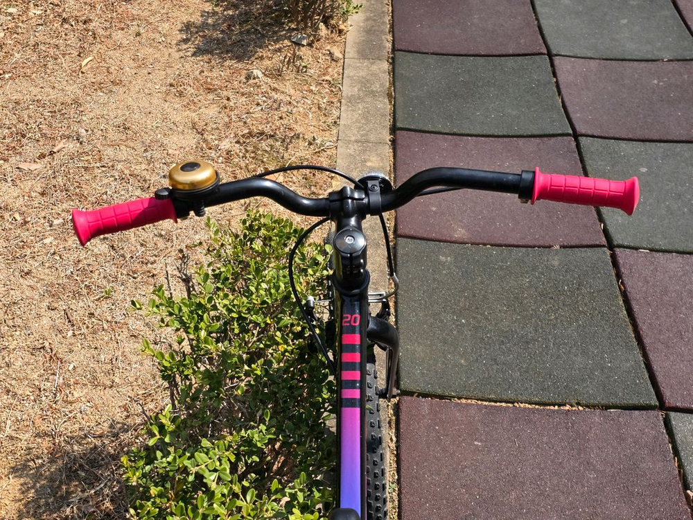 트렉 프리칼리버 20 아동용 어린이 자전거 이미지