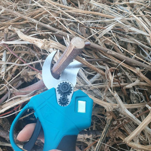 전동 가위 이미지