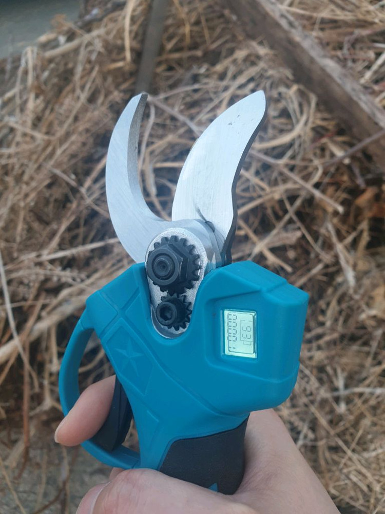 전동 가위 이미지