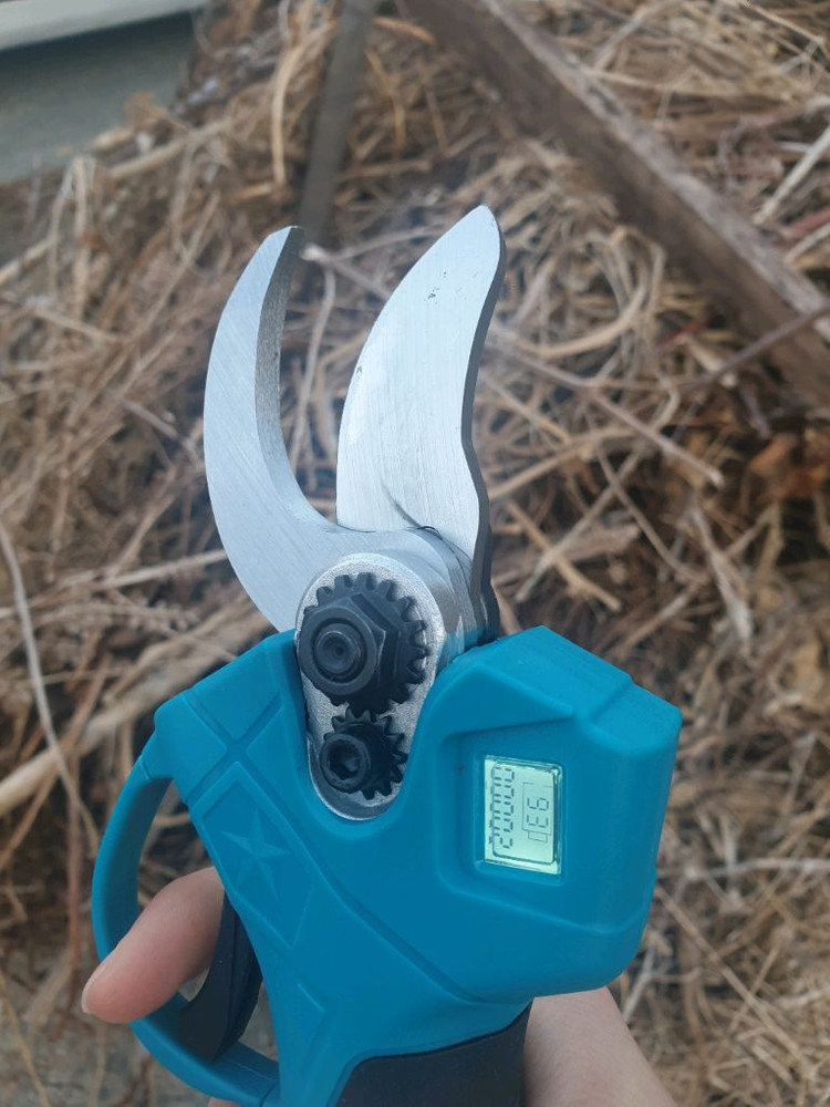 전동 가위 이미지