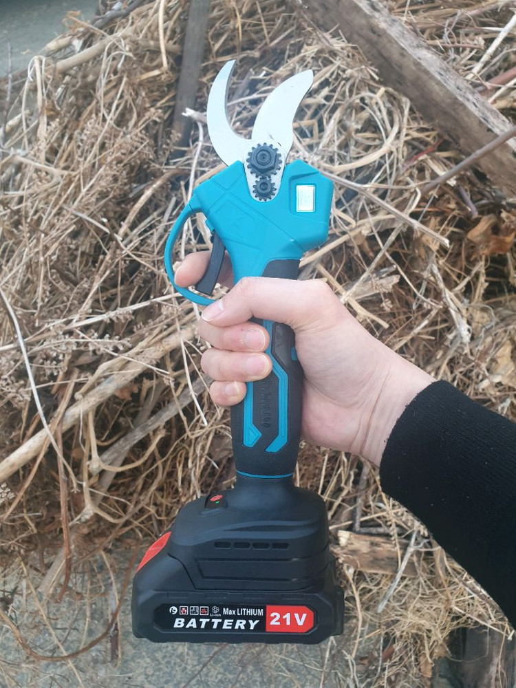 전동 가위 이미지