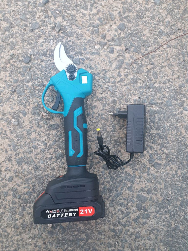 전동 가위 이미지